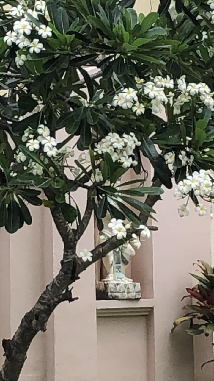 Jepun Villa Sanur دنباسار المظهر الخارجي الصورة